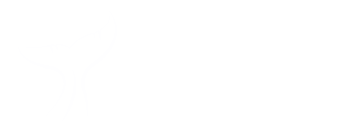 whale-auto