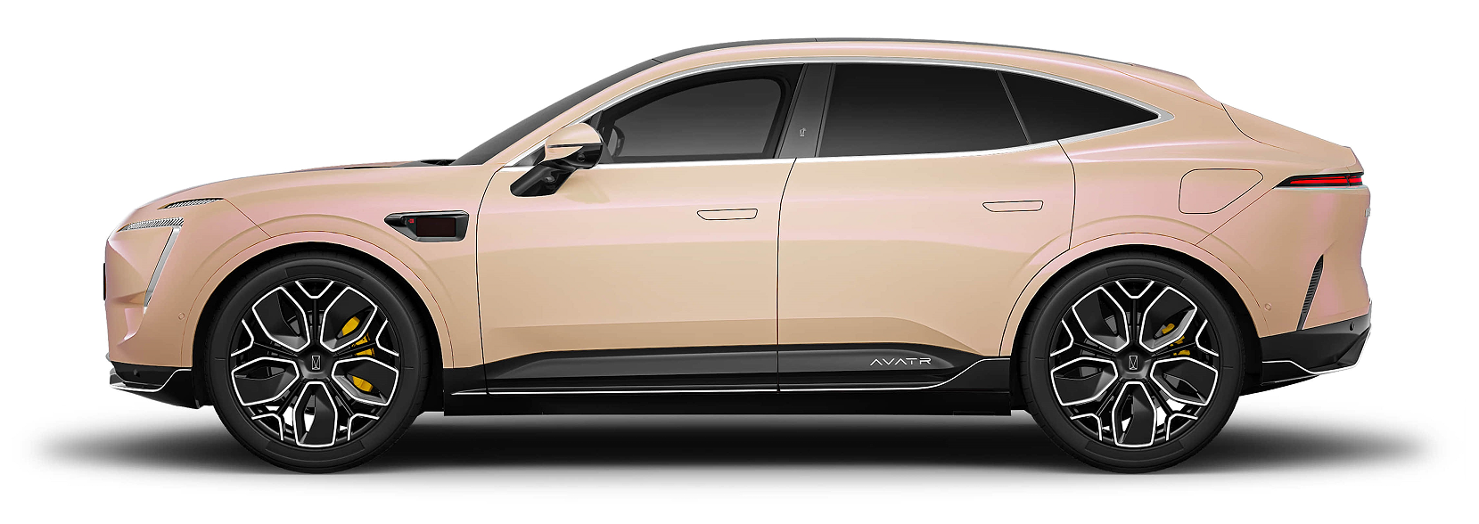 AVATR11 1660 1245 C1