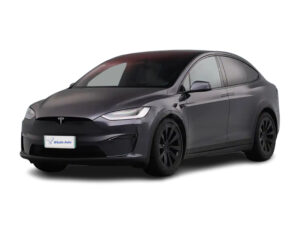 MODEL X EV