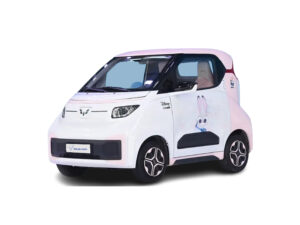 NANO EV