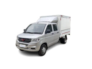 RONGGUANG NEW PICKUP EV