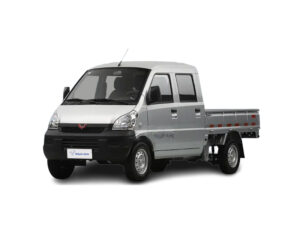 RONGGUANG PICKUP